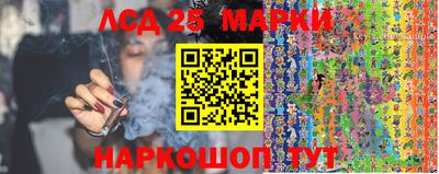 гашик Кунгур