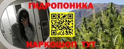 гашик Кунгур